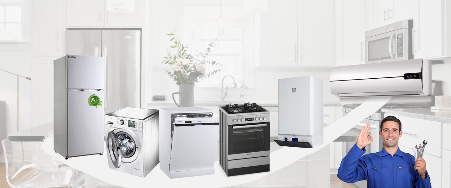 Diyadin Electrolux Servisi